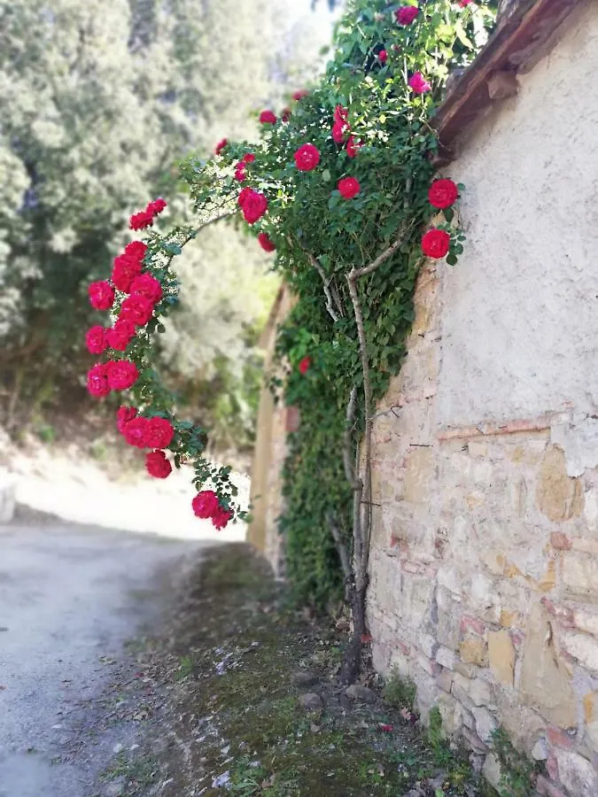 Case Di San Isidoro Guest House Impruneta Country house
